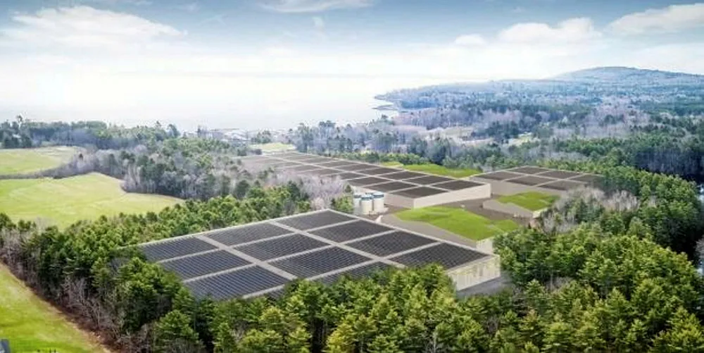 An illustration of Nordic Aquafarms' Belfast RAS overlooking Penobscot Bay.