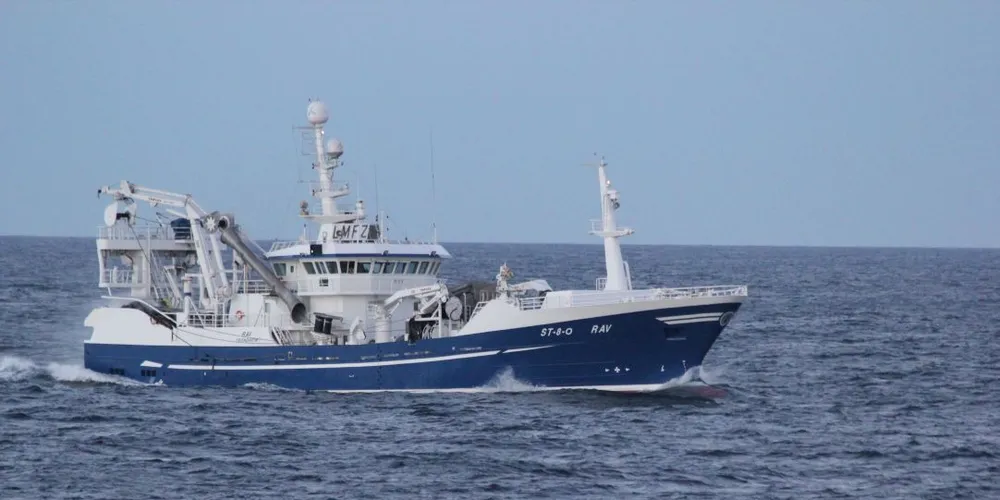 Havet har ifølge fiskerne kokt av makrell den siste tiden. Her ringnotbåten "Rav" på makrellfiske. (Arkivfoto: Petter Hepsø)