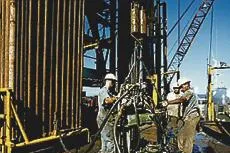 Tangguh: to supply LNG to CNOOC