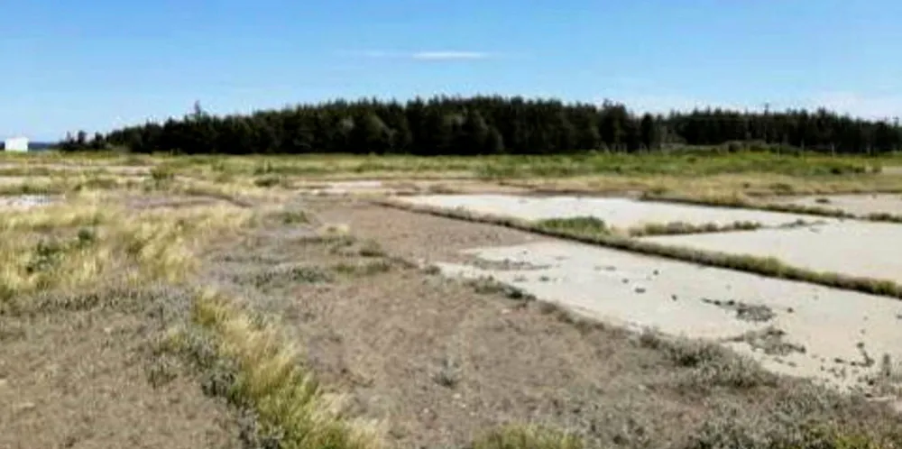 RC Northern Organics, New Brunswick Hatchery will site on the site of a former fish processing plant.