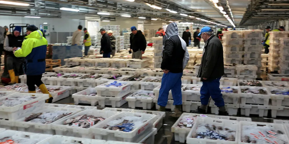 Norge er forberedt på at de ikke blir flertall for en brexit-avtale. Her fra Peterhead fiskemarked, Skottland.