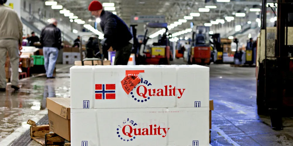 Norge eksporterte sjømat for 99 milliarder kroner i 2018. Klokken 11.00 starter Norges sjømatråds årstallskonferanse.
