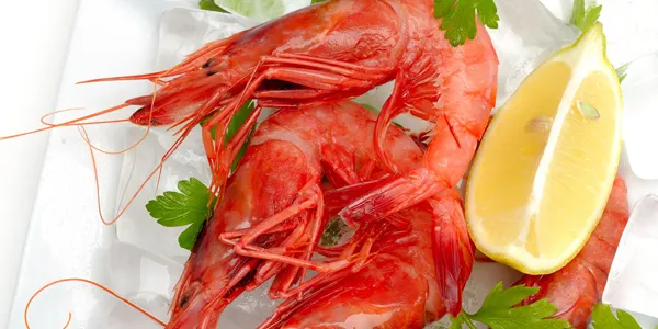 Stella Polaris biotech arm gets Canada's OK for shrimp-based supplement