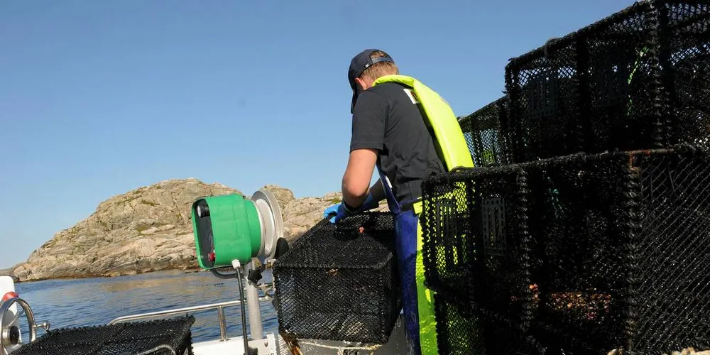 Forståelse: Norges Fiskarlag har forståelse for at fiskere som har drevet leppefiske over flere år blir frustrert over at stadig nye «hiver» seg på dette fisket, noe som igjen fører til at kvoten på det enkelte fartøy må reduseres.Arkivfoto: Kjersti Kvile