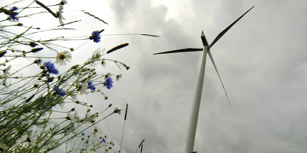 Suwałki wind farm in northeast Poland