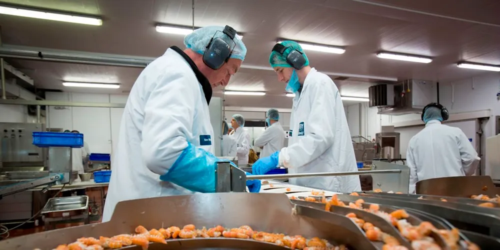 Whitby Seafoods subsidiary opens new scampi plant