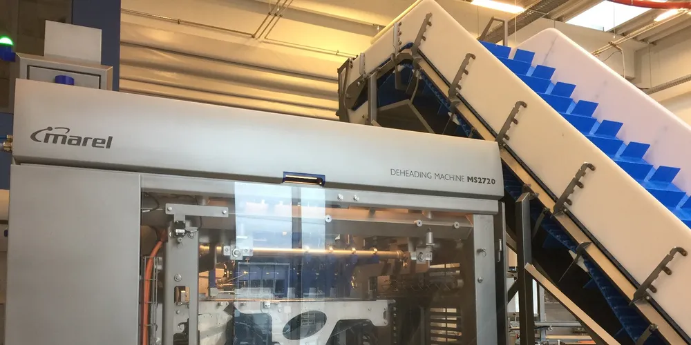 Marel's MS2720 on display at 2017 Salmon ShowHow.