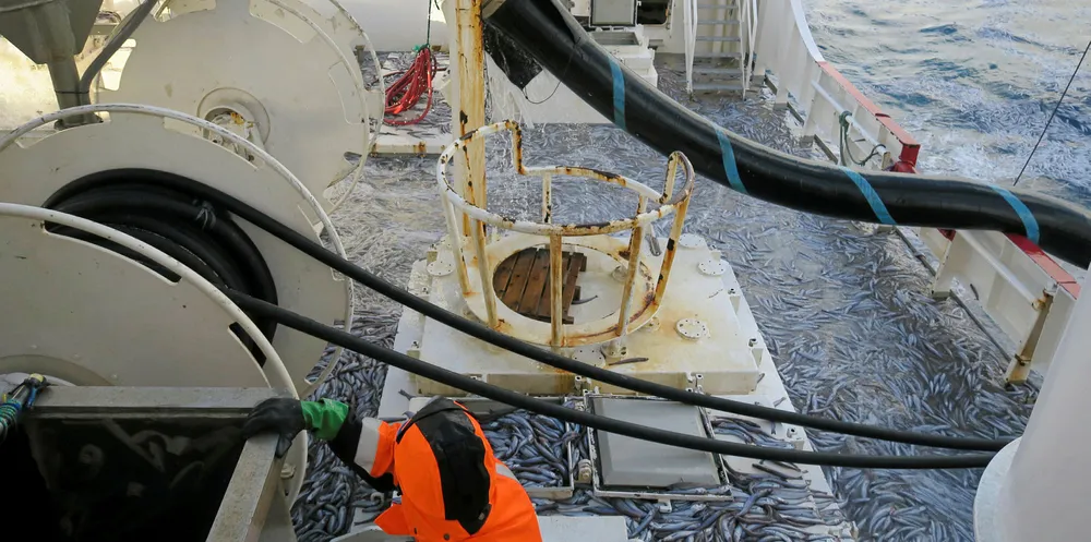 Årets eneste kolmuletokt ble avlyst på grunn av koronaviruset, og det skapte usikkerhet for kolmulerådet. Her er «Brennholm» på kolmulefiske ved Hebridene for noen år siden.