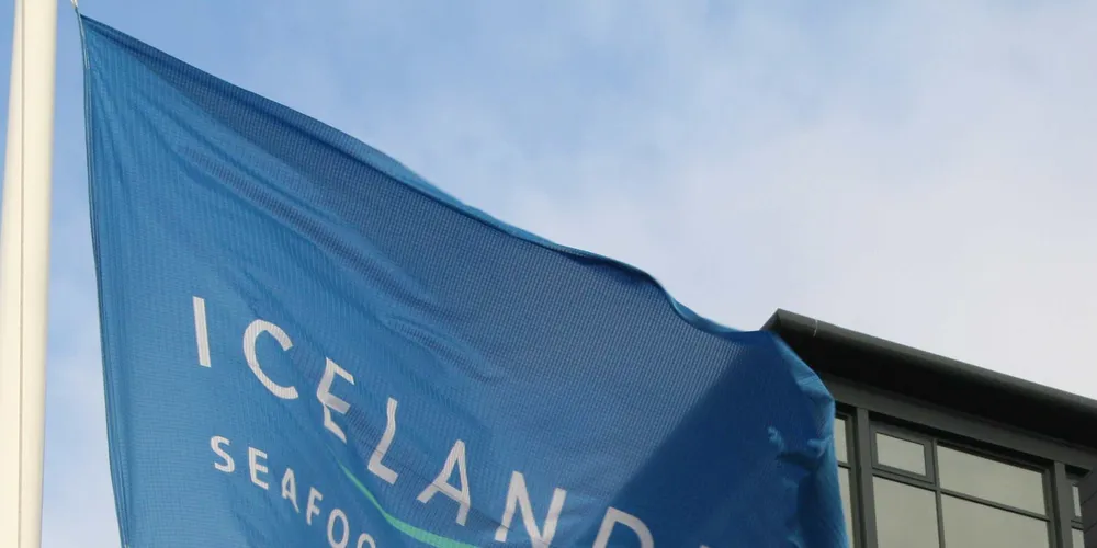 Icelandic Group on organic investment drive