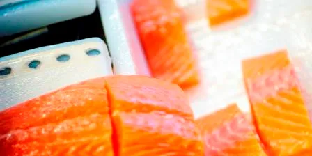 Norwegian salmon giants on Russian ‘hit list’