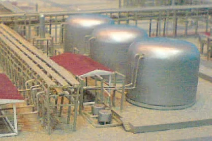 Big investment: for the Cepu development