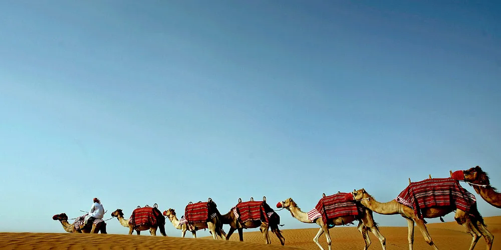 BYD has set out plans to develop a renewables-powered agricultural R&D centre in the Middle East
