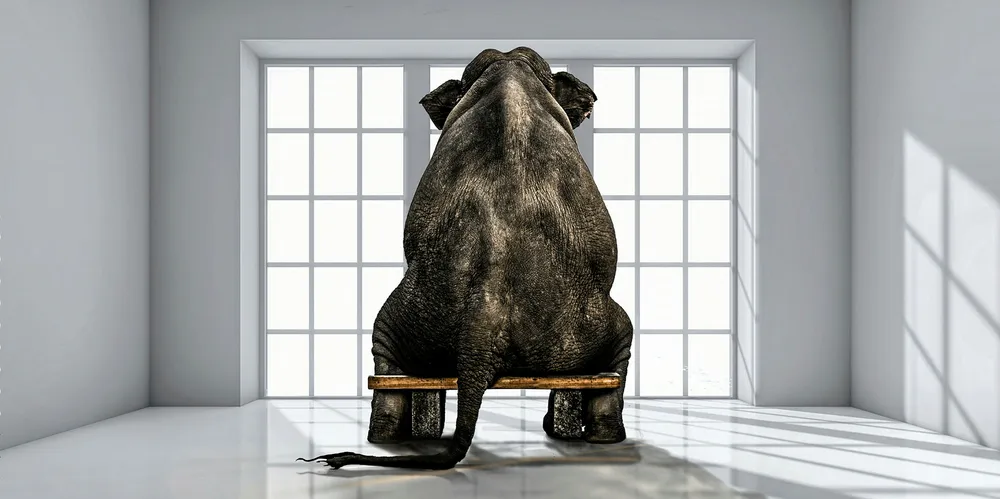 We need to discuss the elephant in the room.