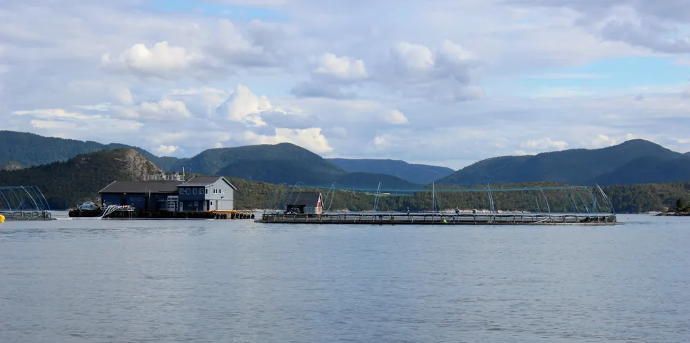 Arkivfoto av Lerøy Midt sitt anlegg Kjørvikgrunn.