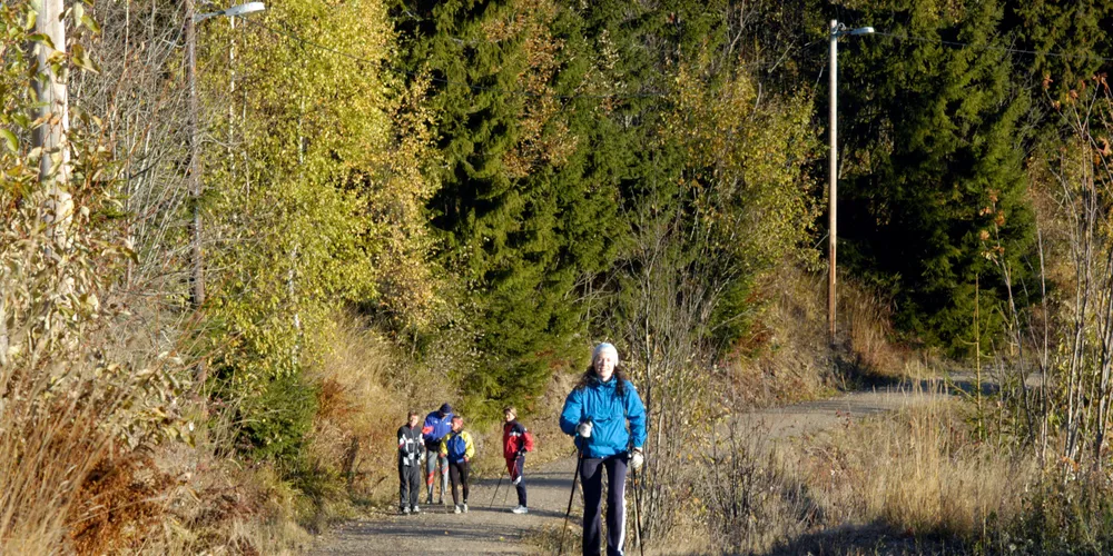MARKED: Nedgang over hele kurven