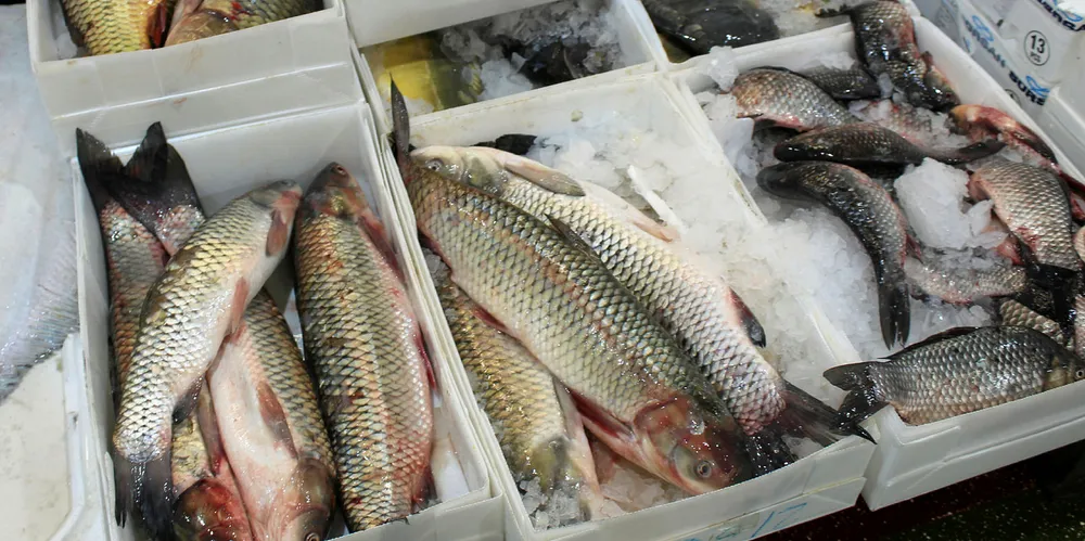 Sure, that's cod.