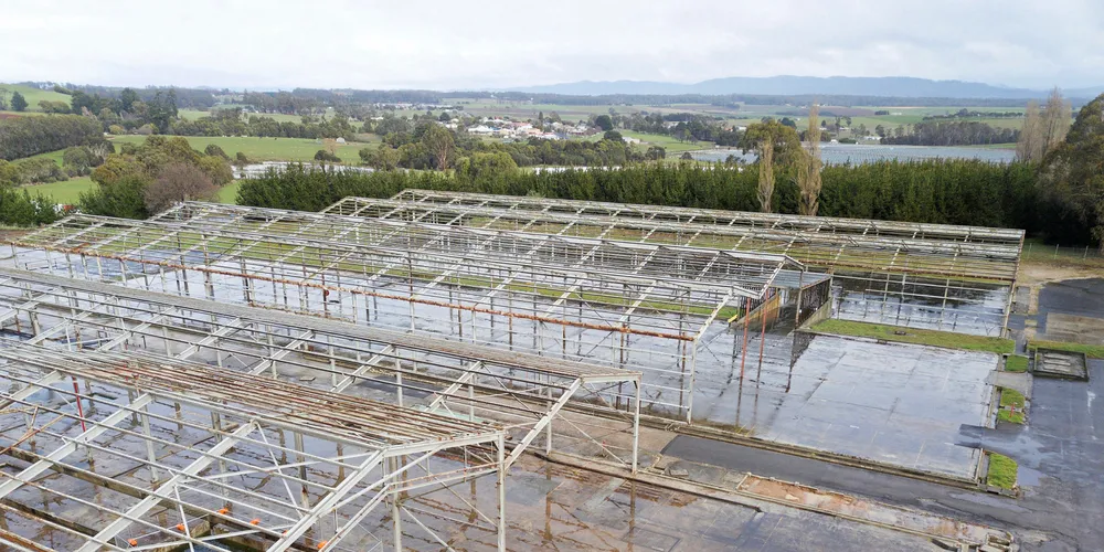 Construction of the plant is expected to take 14 months.
