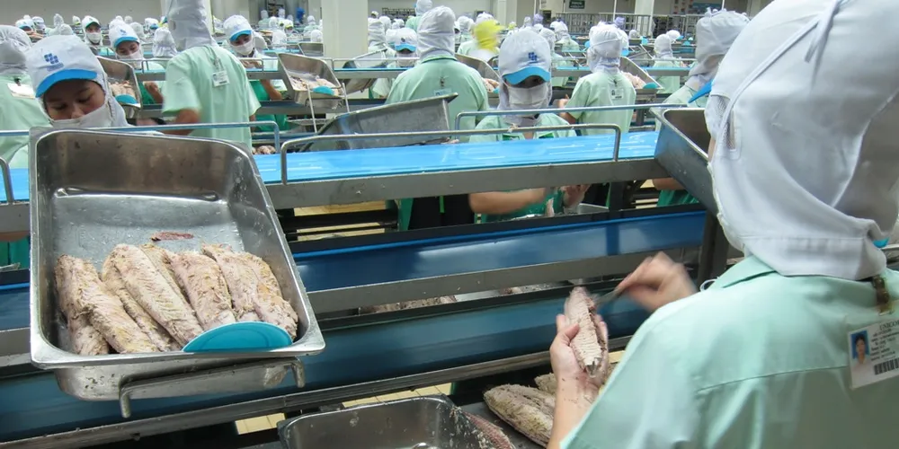 Thai tuna execs: 'We're ready to be audited'