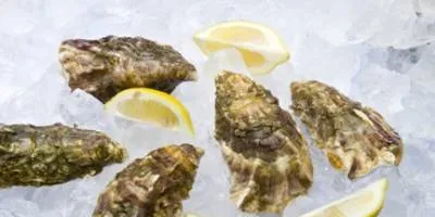 Red Tide hits as oyster demand spikes