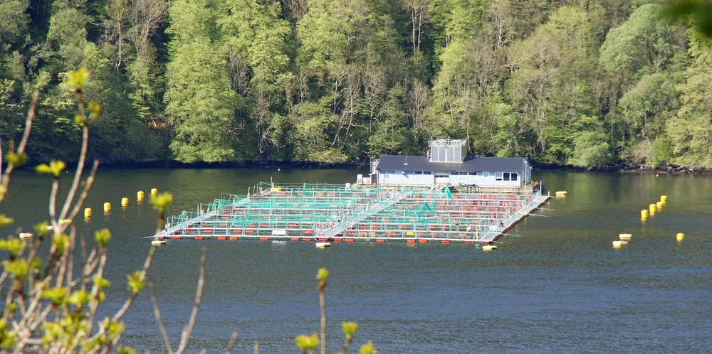 Lokaliteten Blom ved Osterøy tilhørende Sjøtroll Havbruk (Lerøy Vest).