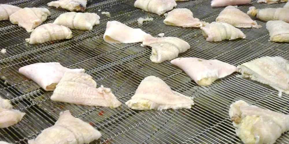EU group launches environmentally responsible fish processing guidelines