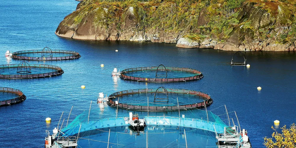Cermaqs lukkede merd i Horsvågen i Nordland.