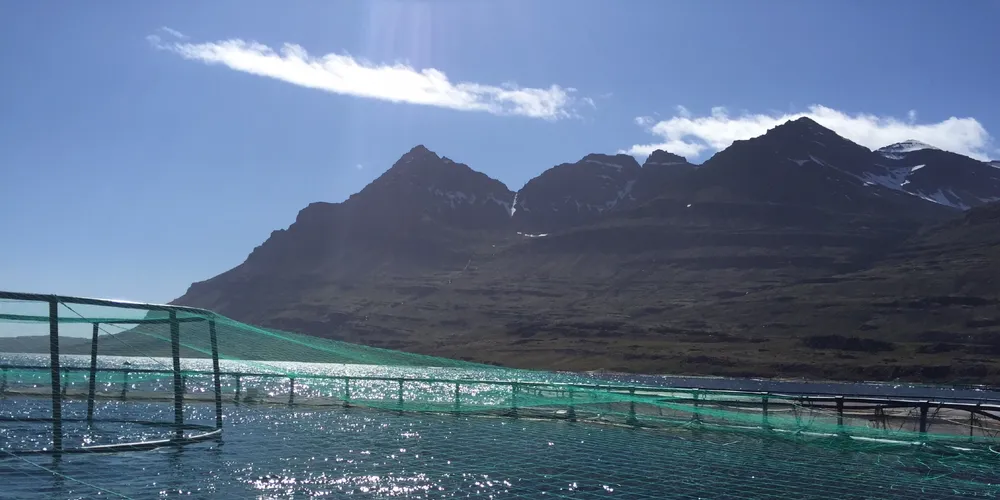 Illustrasjonsfoto. Photo: Ice Fish Farm