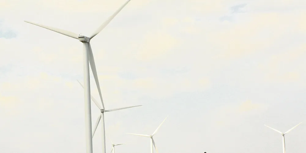 Fantanele wind farm in Romania.
