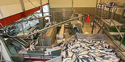 Norwegian firms apply for Russian licenses