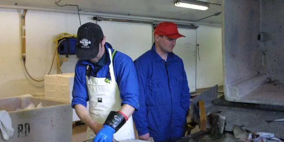 Snorre Sjømat er ei underavdeling av Snorre Seafood i Vågsøy kommune. No vil dei selge fisk over disk. Arkivfoto: Kjartan Mæstad.
