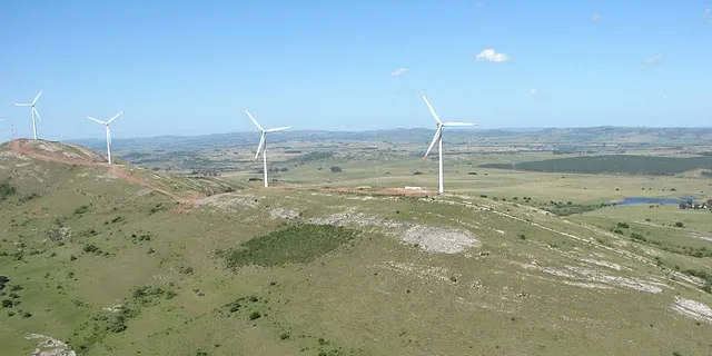 Uruguayan president opens way for losing wind developers