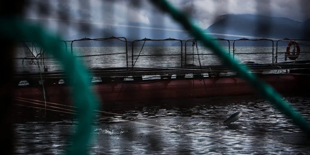 Illustrasjonsfoto: Eivind Senneset