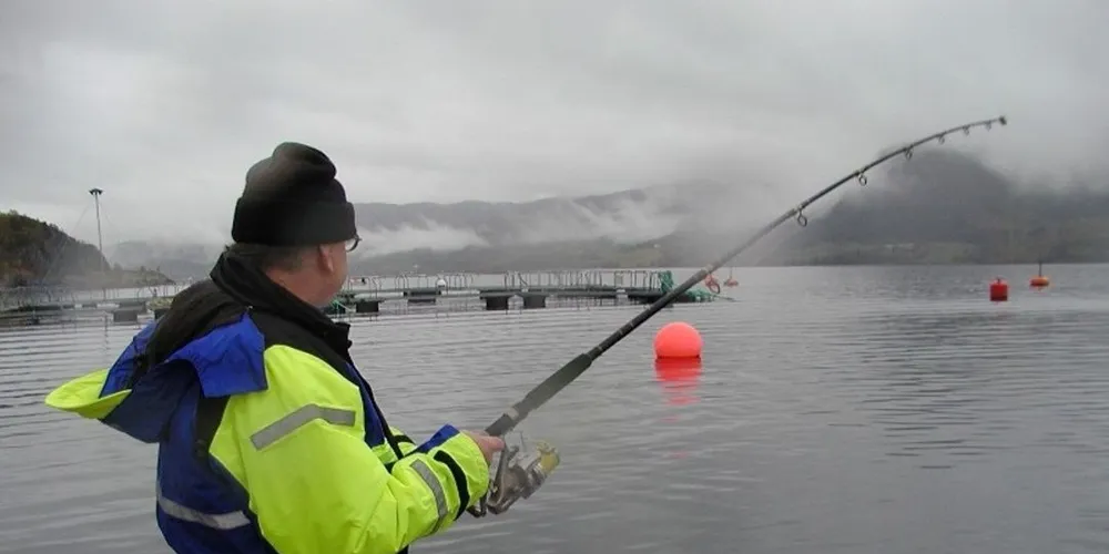 De seriøse turistfiskebedriftene frykter de nye reglene ikke vil gjøre noe med dem som opererer i gråsonemarekdet. De driver på kant med både økonomsiek regler og sikerheten, sier Stein Erik Eliassen i bedriftsnettverket Yes Seafishing. Illustrasjonsfoto: Willy Hauge