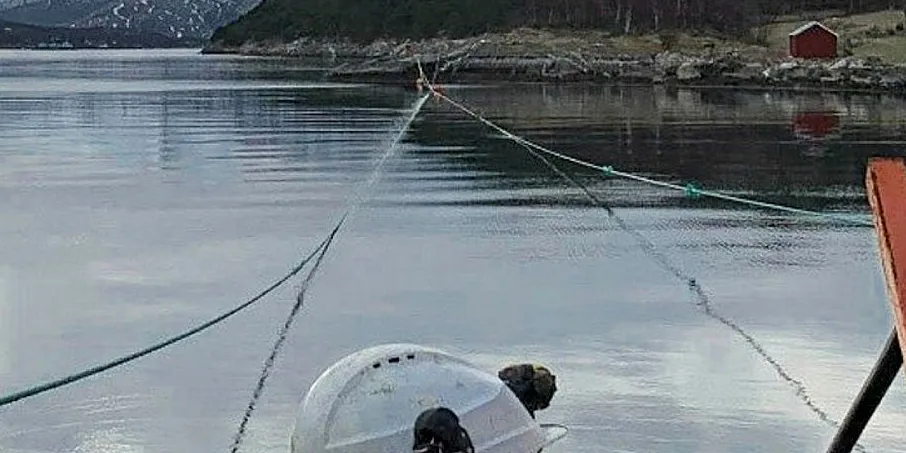Storevika er en av lokalitetene til Gifas som nå tar i bruk landstrøm.