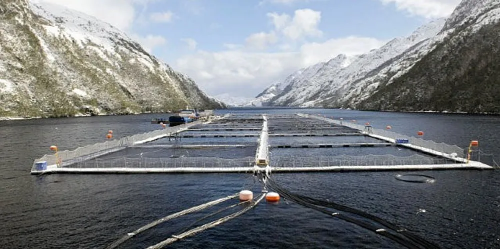 Once again Nova Austral is in hot water with authorities.
