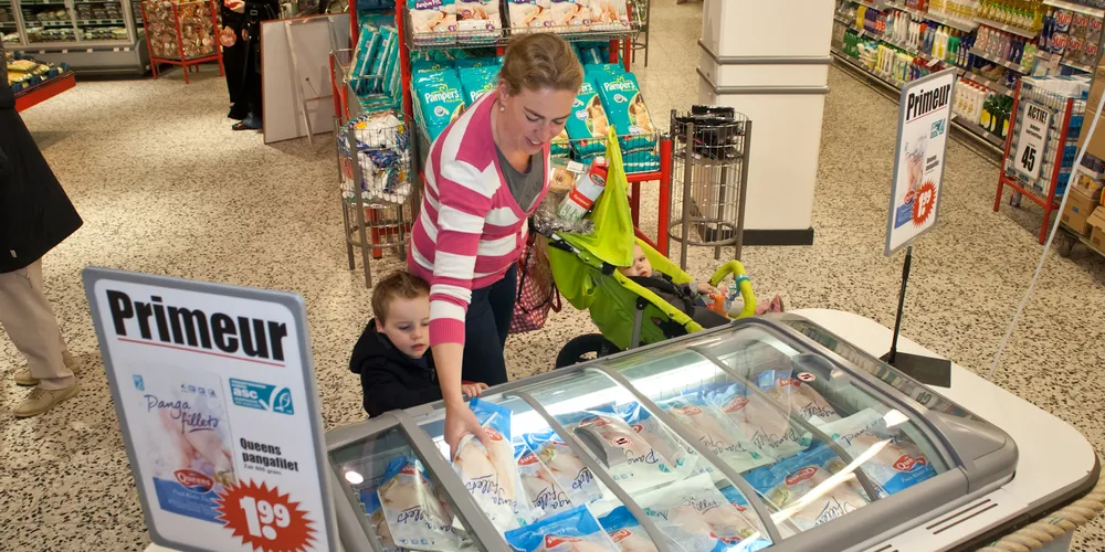 Pangasius may see new era of growth in EU market