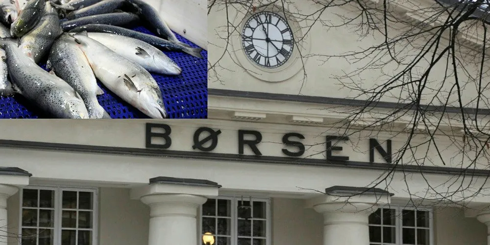 Onsdag er en dårlig dag for lakseaksjonærer ved Oslo Børs.