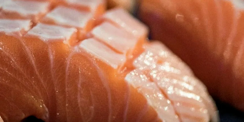 Sanford salmon.