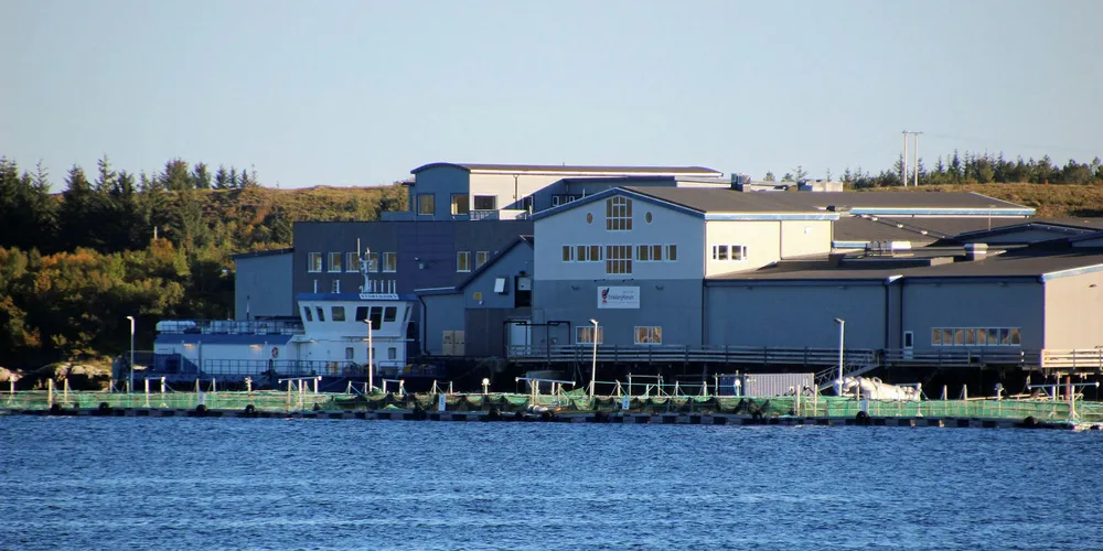 Ventemerden til Sinkaberg-Hansen på Marøya, rett sør for Rørvik nord i Trøndelag.