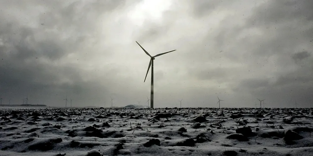 Snow falls at the Iberdrola Renewables Buffalo Ridge Wind Power Project in Elkton, South Dakota. Pic: Aaron Packard/Bloomberg via Getty Images