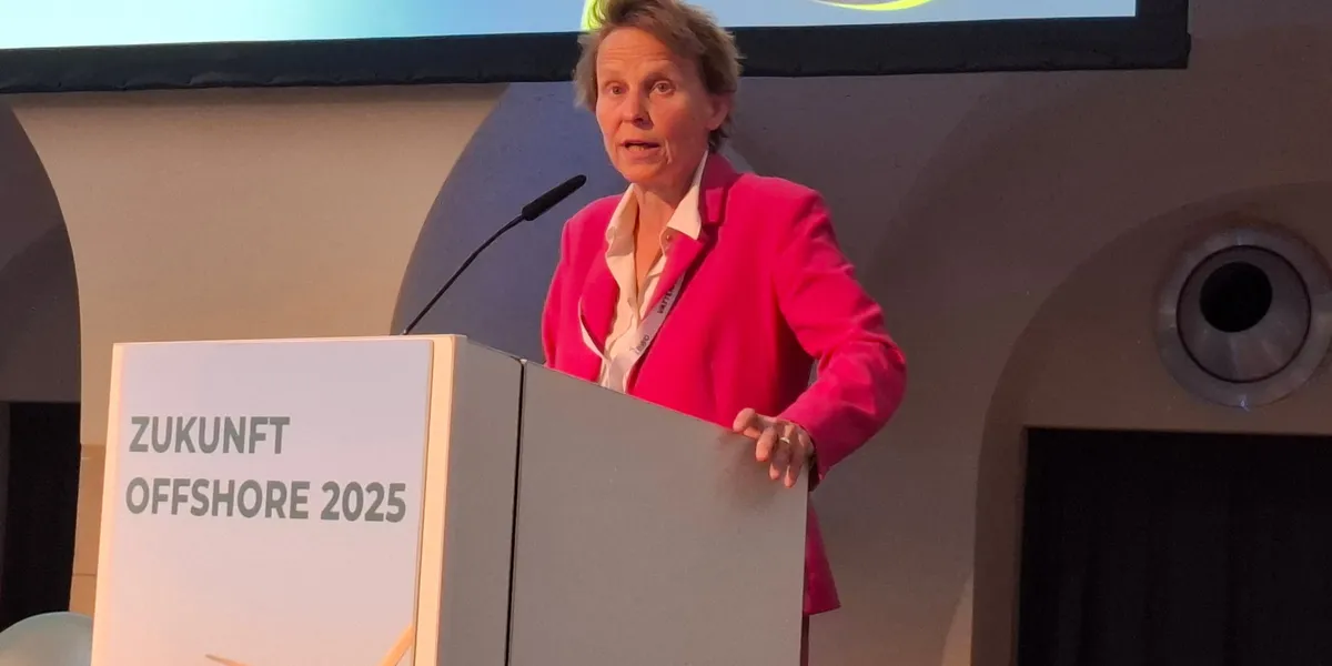German offshore wind is worried: 'Do we have to hold our breath for ...