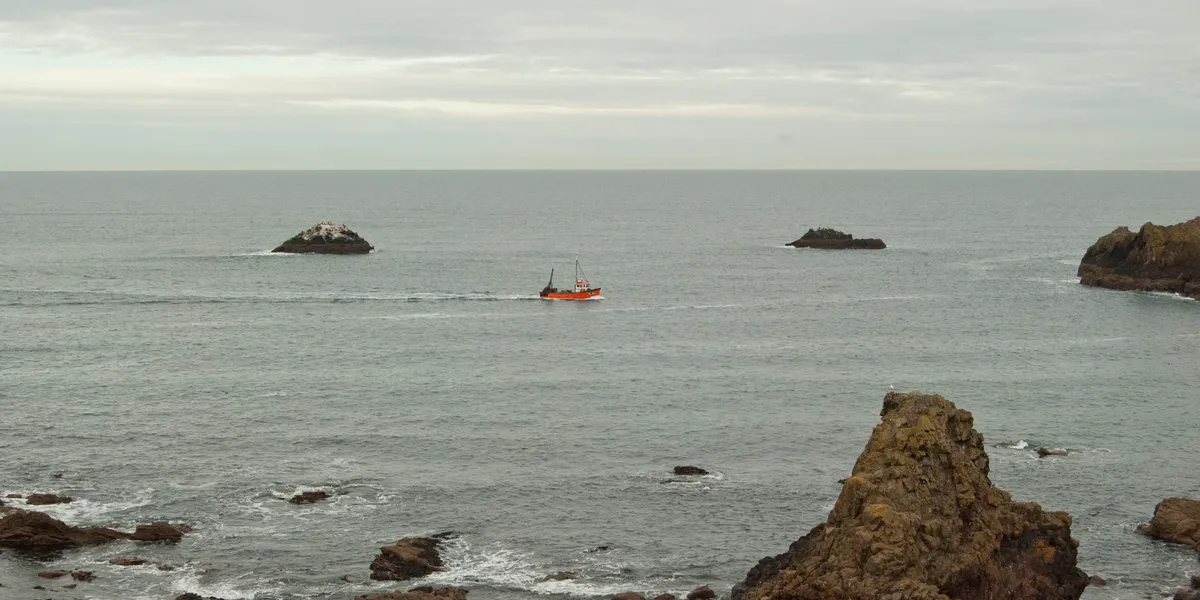 UK fishing volume falls, value goes up | Intrafish