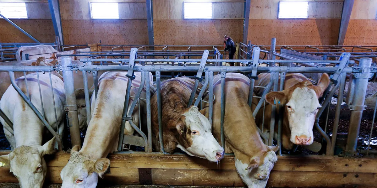 Subsidierer den maten vi bør spise mindre av