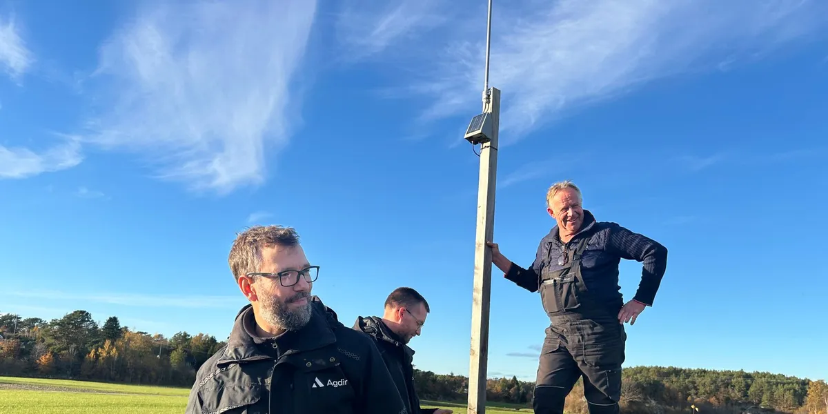 Nå gir gulrøttene beskjed når de blir tørste: – Et milliardmarked