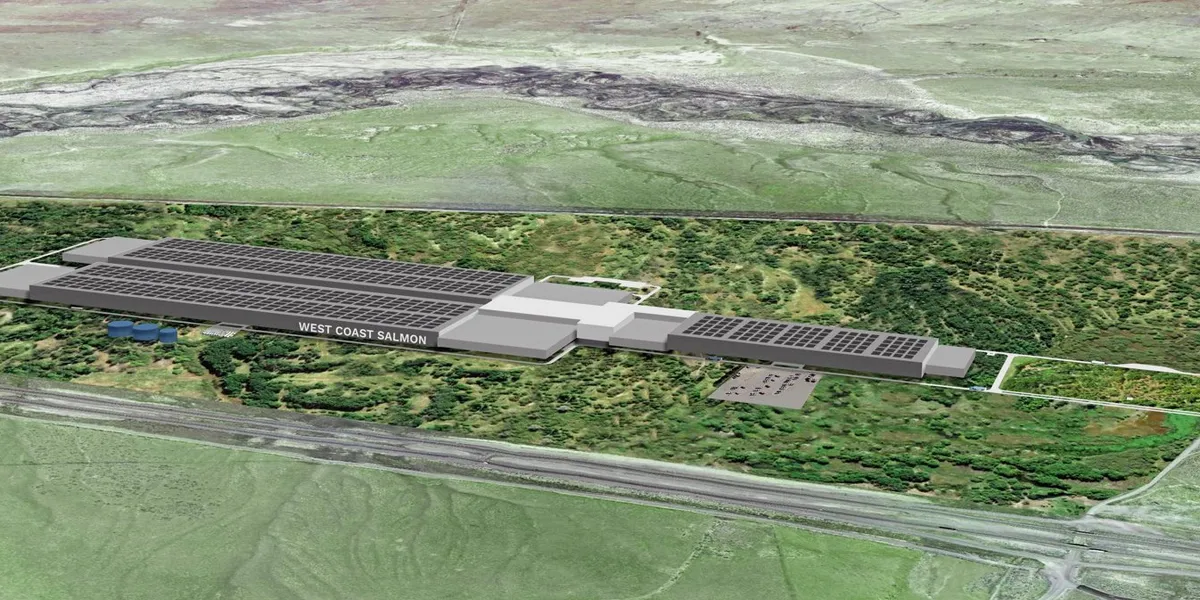 Norsk laksedrøm i USA konkurs