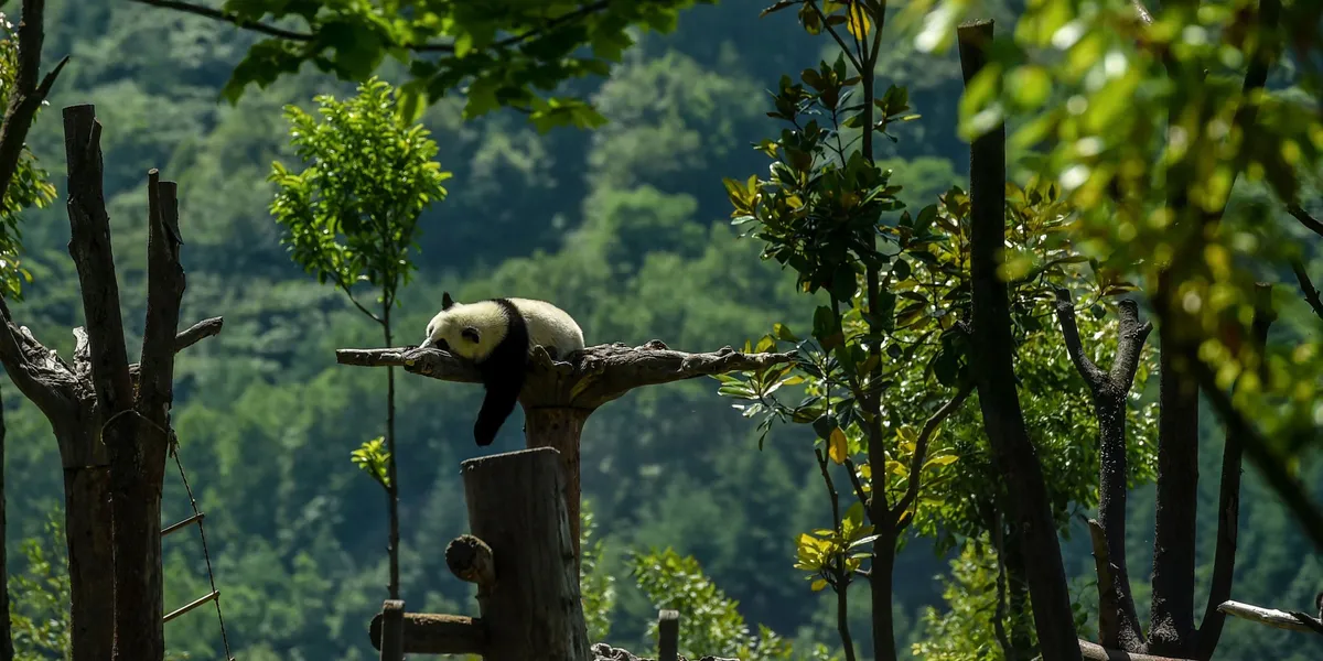 China commissions pilot project to boost mature fields