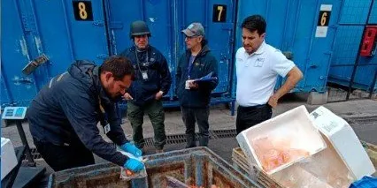 Police dismantle salmon theft rings tied to organized crime | Intrafish
