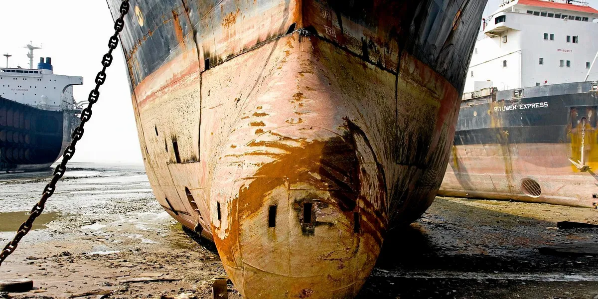 www.tradewindsnews.com
