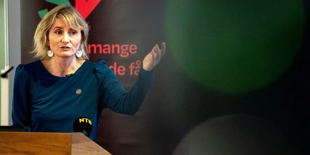 SV sier motvillig ja til skattekommisjon