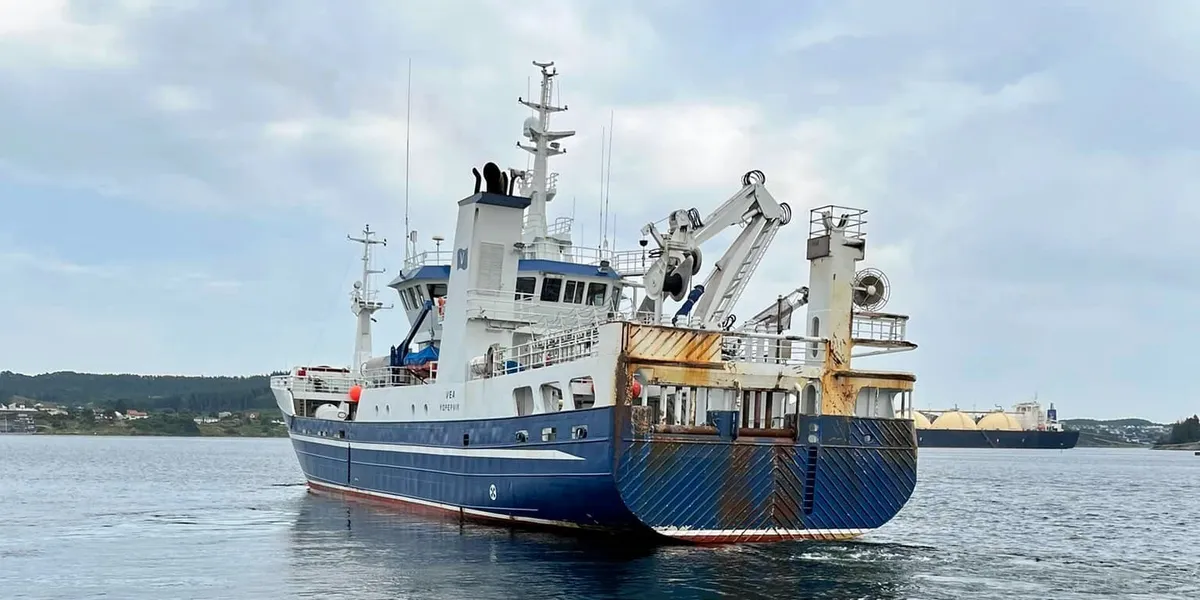 Peru sets provisional second season anchovy quota